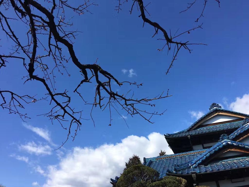 Kougetsu Sanso -- Moon Villa In Tokyo 八王子市 外观 照片